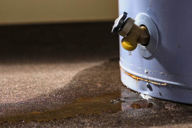 Best Water damage restoration specialists  in Belleair Bluffs, FL