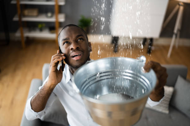 Best Sewage cleanup and water damage restoration  in Belleair Bluffs, FL