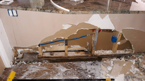 Best Water damage restoration near me  in Belleair Bluffs, FL