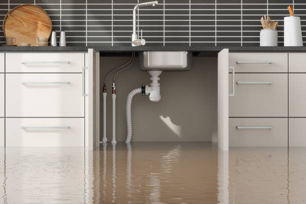 Best Sewage cleanup and water damage restoration  in Belleair Bluffs, FL