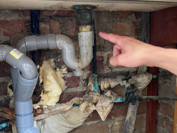 Belleair Bluffs, FL Water damage restoration Company