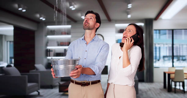Best Basement water damage restoration  in Belleair Bluffs, FL