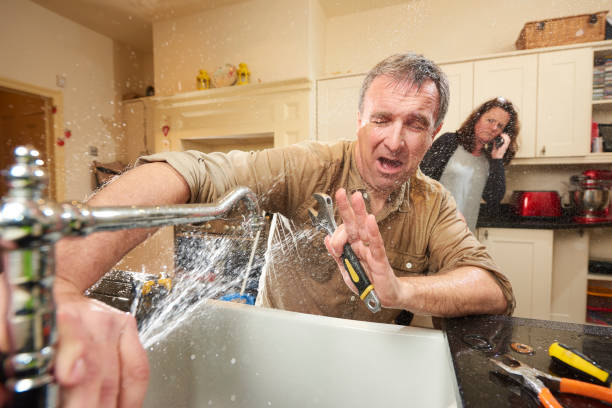 Best Basement water damage restoration  in Belleair Bluffs, FL